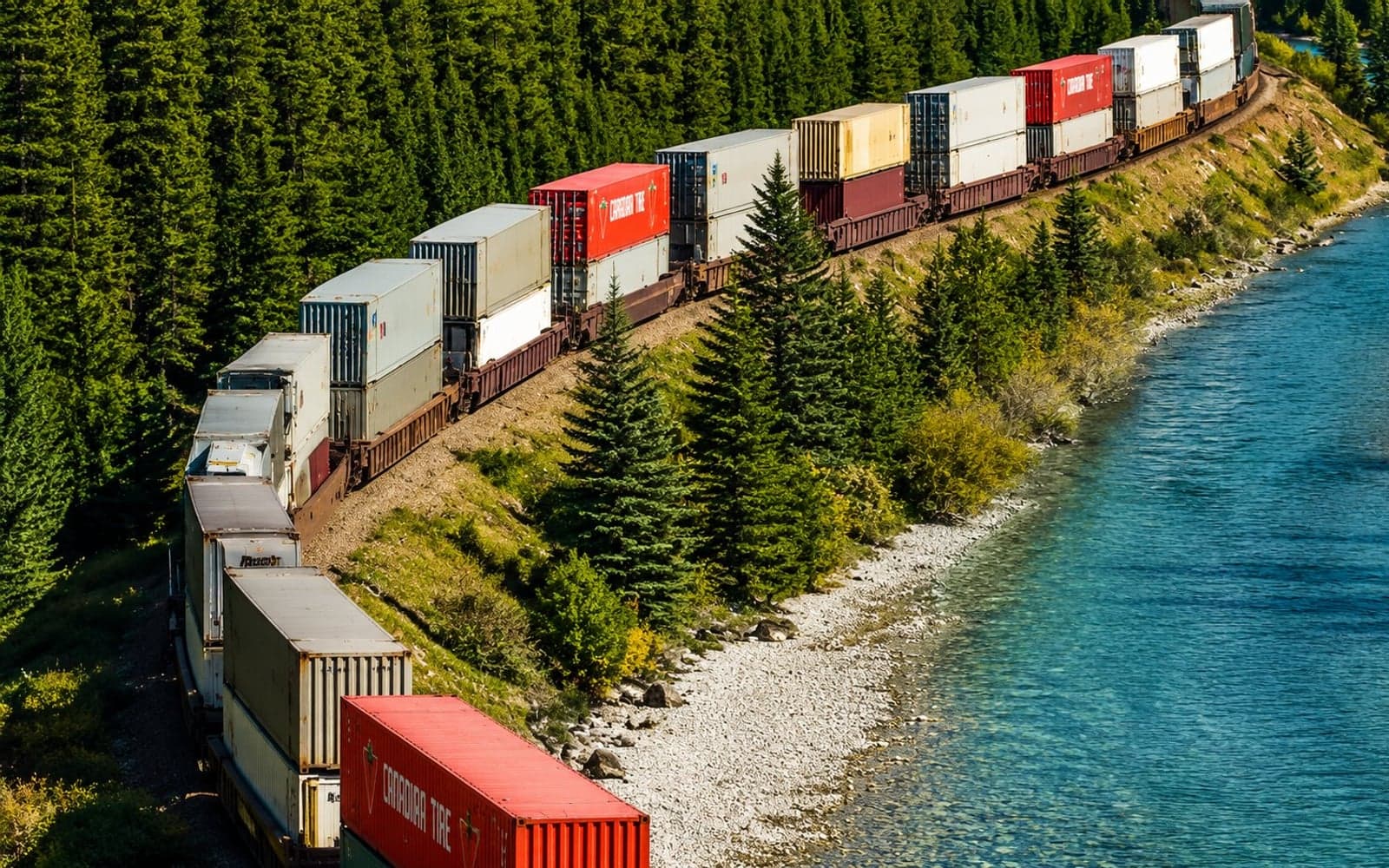 Intermodal freight train along a river through forest